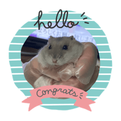 Himawari_20220224205430