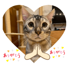 jinjin_20220225140351