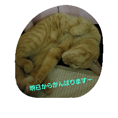 suwaro
