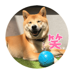 Thata_20220225120356