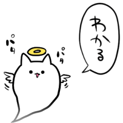 talking ghost cat