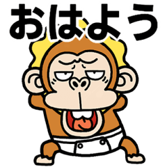 Irritatig Monkey Pop-up3[BABY]