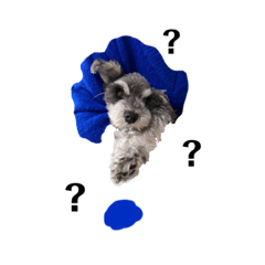 mizuki_20220225172325