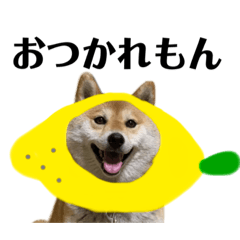 hana_20220225190531