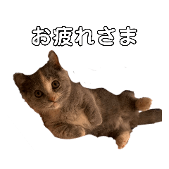 yuina_20220225211505