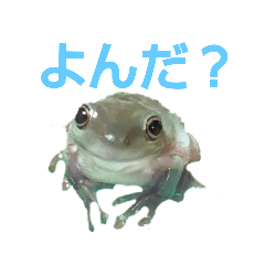 yuina_20220225211339