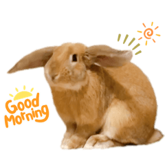 musashigatsutaerukimochi2