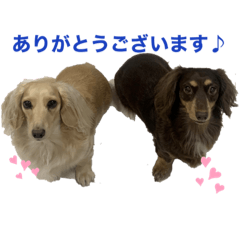 aoi_20220226085118