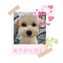 monaka_20220225200007