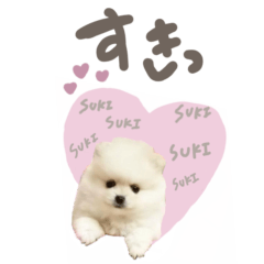 dog stamp aiken stamp