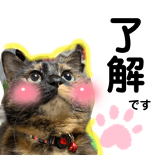 saori_20220226104756