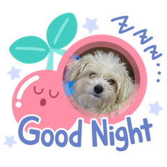 SINGPAI_20220225144859