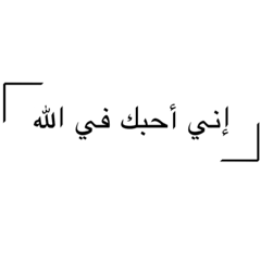 THE LIFE OF A CALFLOWER (deep arabic)