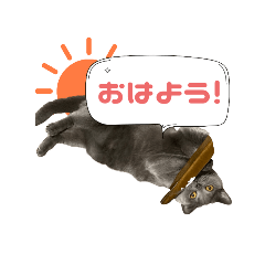 Suzu_20220226002927