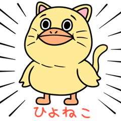 Chick cat