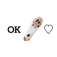 Ai_20220226000039