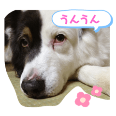 miki_20220226001307