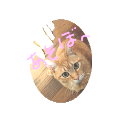Kuu_20220225202432