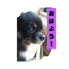miyoko_20220225225955