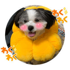 ayumi_20220225225825