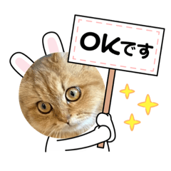 caaaaaaaaaaaaaaaa