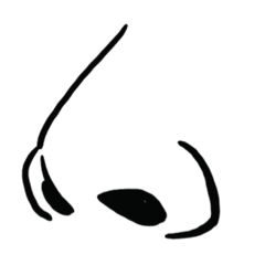 各種鼻子nose shapes