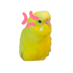 Kazuki_20220226140714