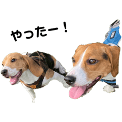 NATSUMI_20220226154410