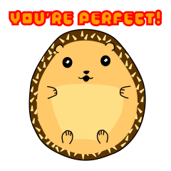 Cute Positive Zoo