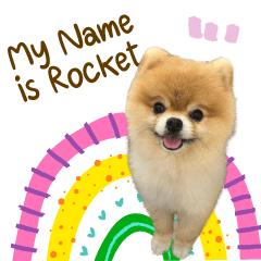My Name's Rocket