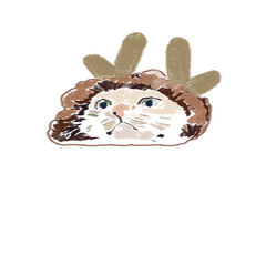 貓咪向你說哈囉更新版