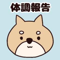 Shiba Inu physical condition sticker