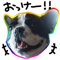 woof French Bulldog's Sticker