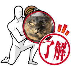 kaito_20220226204953