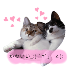 D_20220226211110