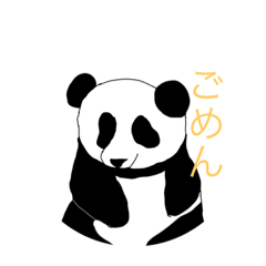 panda_20220227100229