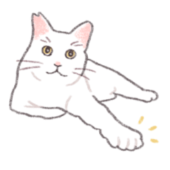 White cat SHIROPI 2