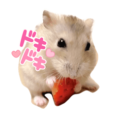 hikaru_20220226162417
