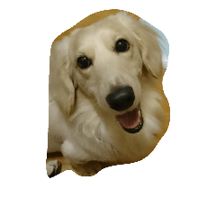 Q寶兒