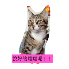 喵萌