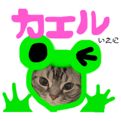 yuina_20220227113701