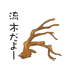 Japanese Driftwood