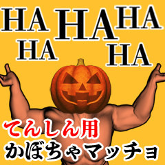 Tenshin Pumpkin macho