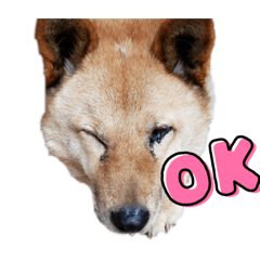kuu_yana