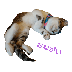 msk_20220226204615
