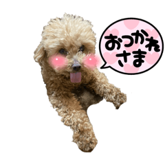 mizuki_20220227115043