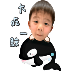 睿睿的100種生活2-嘉嘉報到