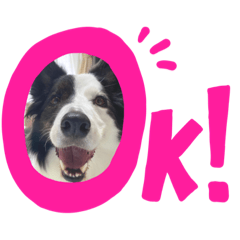 saori_20220227133839