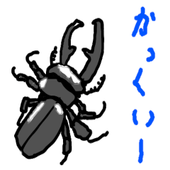 Shupami Insects 002