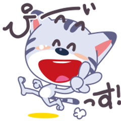 I am nyanchi of the American shorthair